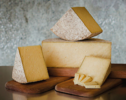 cheese